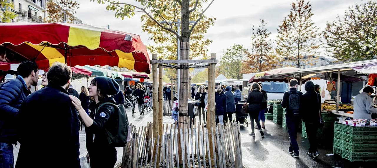 Marché aux puces de Plainpalais, Genève